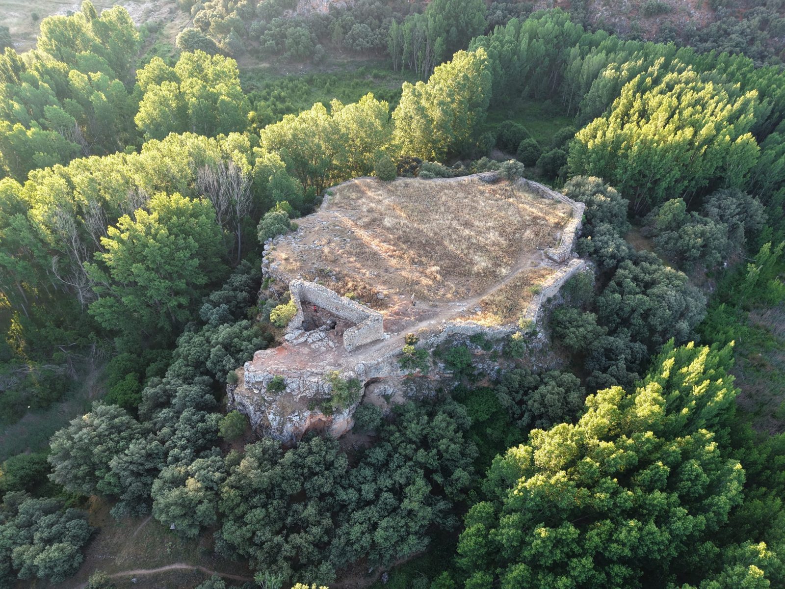 Castillo de San Felices (Rochafrida)